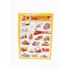 Children's Educational Charts - Image 2