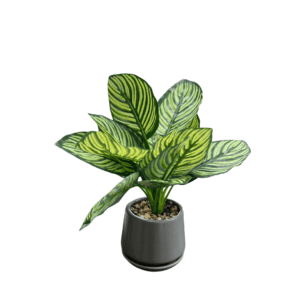 Artificial Plant