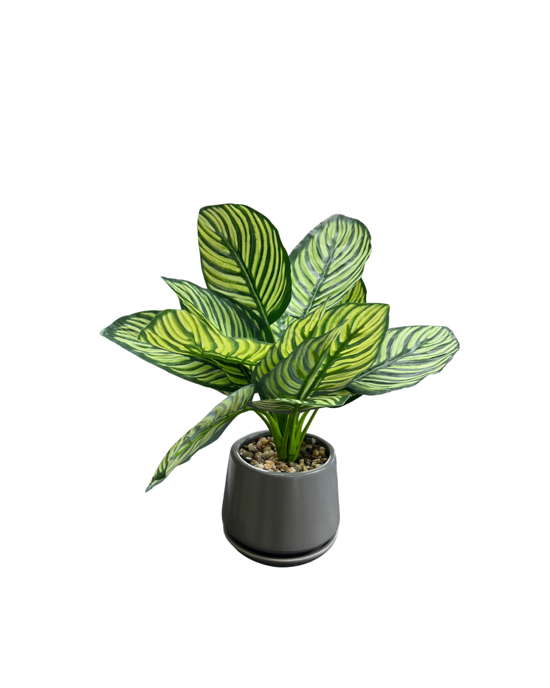 Artificial Plant