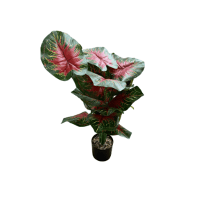 Artificial Plant