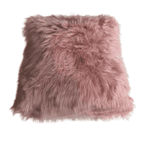 Throw Cushion Covers