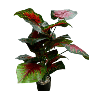 Artificial Caladium Plant